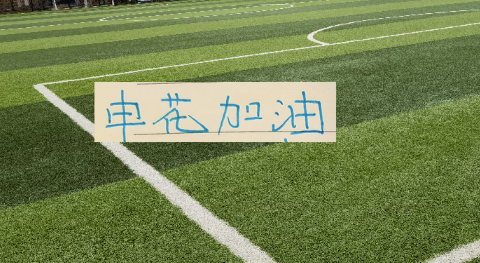 世界杯抢镜王:宠物鸭“梅林”身披墨西哥战袍走红网络